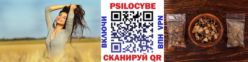 Псилоцибиновые грибы MAGIC MUSHROOMS  Безенчук 